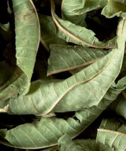 Verveine